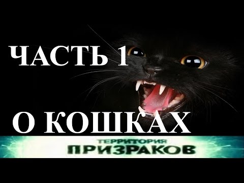 О кошках. Часть 01. Территория Призраков.  Серия 21.