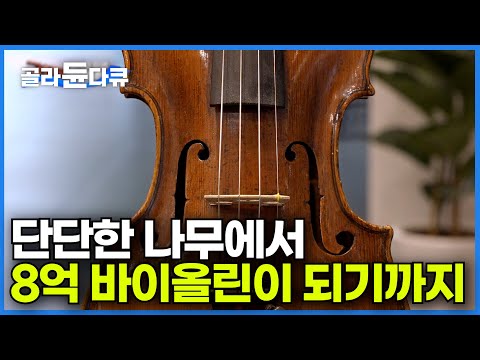 버려진 죽은 나무는 세상에 단 하나뿐인 바이올린으로 재탄생한다┃8억짜리 바이올린ㅣ극한직업ㅣ#골라듄다큐