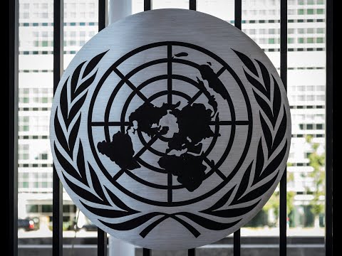 What’s Left of International Law after UNSC Resolution 2803 on Gaza?