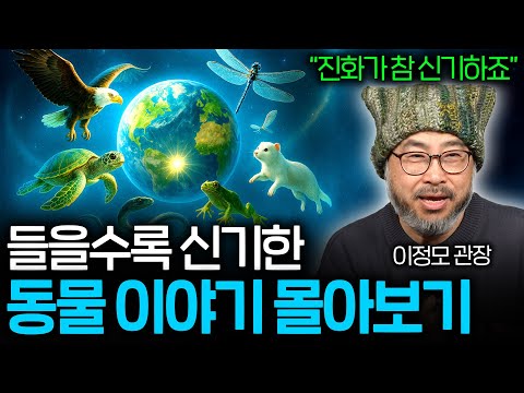 자기 전에 들으면 꿈속에서 동물 왕국을 떠나는 이야기들 (숙면 권장 ASMR 몰아보기) | 과학정모 몰아보기