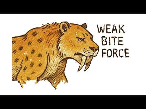 Why the Saber-Toothed Cat Was Doomed From the Start?