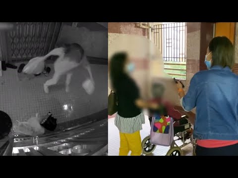 東張西望 | 惡鄰門口亂倒垃圾全紀錄 當面對質口出惡言恐嚇！