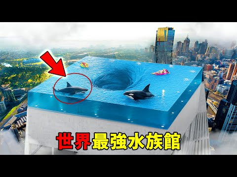 全世界最強的十大超級水族館！沙漠裡看鯊魚只能算入門，第一名面積超50個標準足球場，還能讓鯨鯊、虎鯨、珊瑚同框生存！