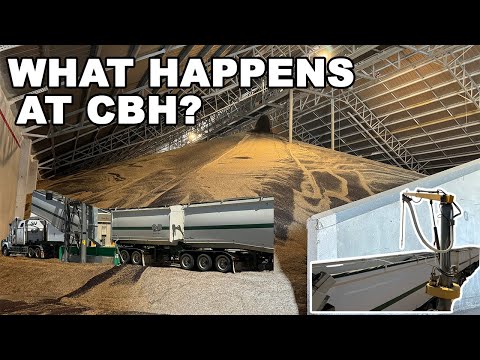 Ride along to CBH to see what happens with my grain | Harvest 2023 | Western Australia