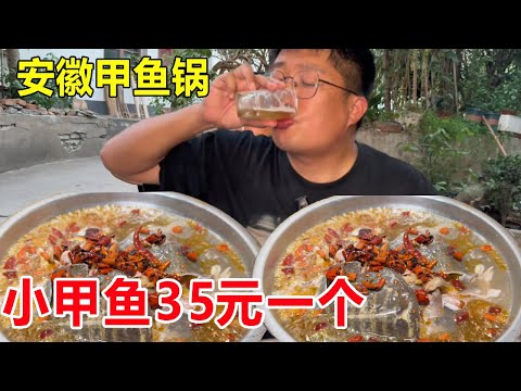 安徽金寨极其隐蔽的甲鱼锅，小甲鱼35元一个，先卤再煮火锅 #麦总去哪吃