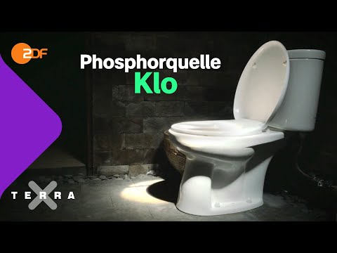 Warum wir Urin und Kot recyceln sollten | Terra X plus