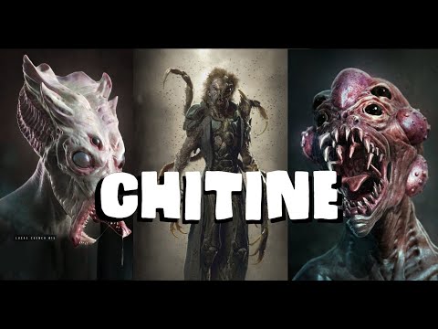 Dungeons and Dragons Lore: Chitine