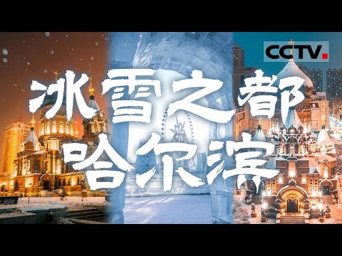 这个冬天怎能不去哈尔滨？一览“冰雪大世界”无与伦比的魅力 感受冰天雪地里绽放的烟火气！【CCTV纪录】