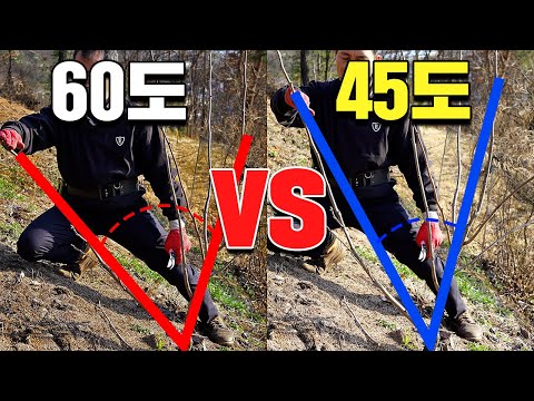 가지 유인 각도에 따라 생산량, 수확량이 달라집니다ㅣ각도의 중요성ㅣ정부우세, 정아우세