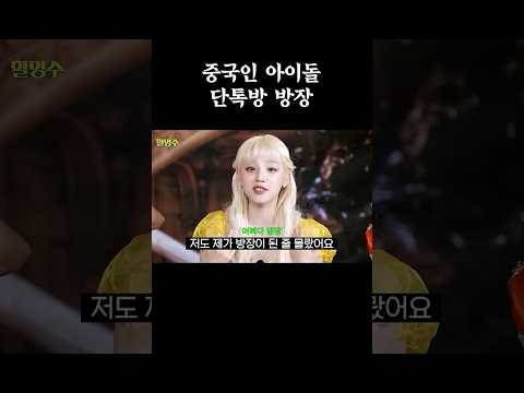 중국인 아이돌 단톡방 방장 #우기 #디에잇 #할명수 #아이들