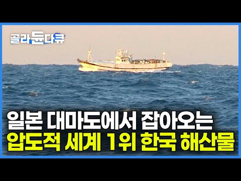 [ENG SUB] Korean Fishermen Catch 3000kg Of Eels Near Japan In 6 Day Voyage #PICKDOCU