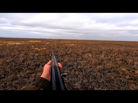 HARE HUNT DECEMBER (2024) HARE RISES FROM UNDER YOUR FEET!!!