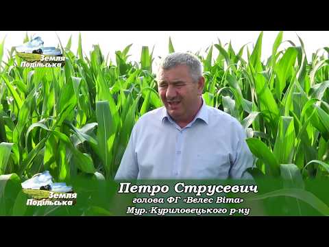 "Велес Віта" - потужне тваринницьке агропідприємство