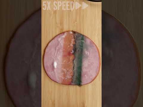 don't swallow watch batteries