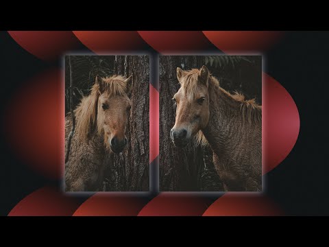How To Create A Split Screen Effect In Adobe Premiere Pro