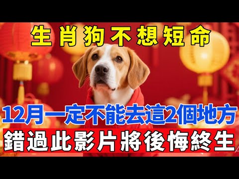 生肖狗不想短命，12月一定不能去這2個地方，錯過此影片將後悔終生。【生肖吉運坊】#生肖 #命理 #運勢 #屬相 #風水