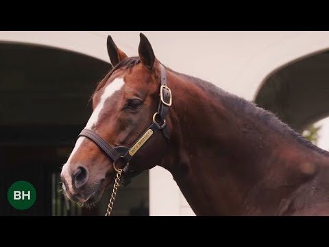 ICONS: Into Mischief