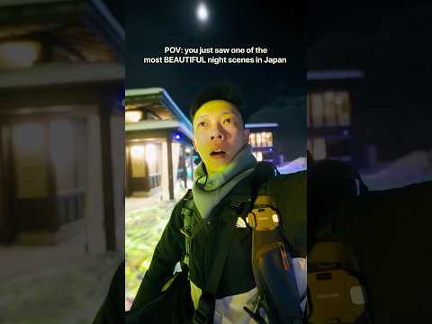 Just saw one of the most amazing night scenes in Japan :0