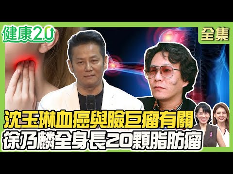 沈玉琳血癌與臉巨瘤有關？粉瘤vs.纖維瘤大不同！徐乃麟全身20顆脂肪瘤！自摸檢測3部位揪淋巴癌！健康2.0 20251019【完整版】#陳欣湄#韋汝#黃幼鳴#柳朋馳#羅珮琳#陳麗華#雷議宗