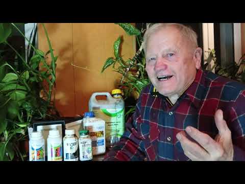 Почему в моих томатах ликопина в 50 раз больше, чем в магазинных. Говорим  о почве  и фотосинтезе.