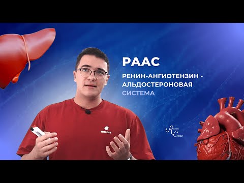 РЕНИН - АНГИОТЕНЗИН - АЛЬДОСТЕРОНОВАЯ СИСТЕМА
