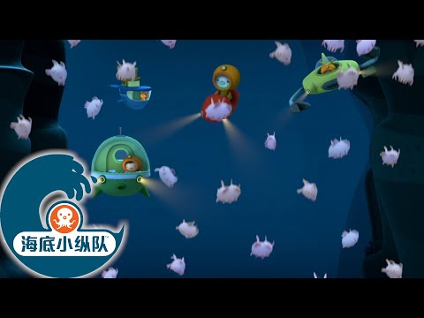 海底小纵队 - 天外来猪