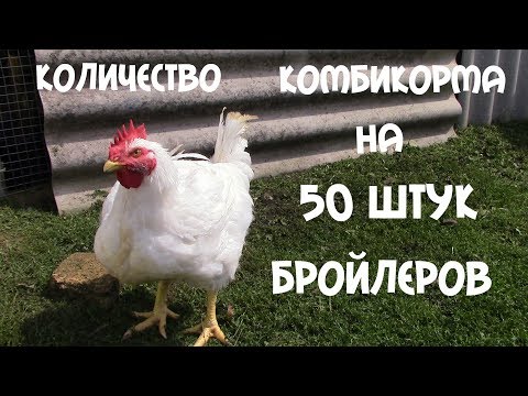Сколько надо комбикорма на 50 бройлеров