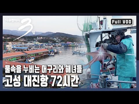 [다큐3일★풀버전] 동에 번쩍 서에 번쩍! 겨울 바다를 헤쳐 나가는 대진항 어민들의 72시간  (KBS 20190106 방송)