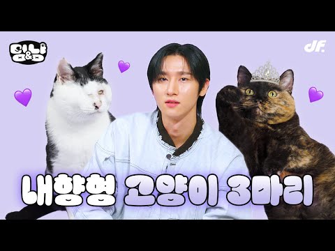 [ENG] 인터뷰 중에 츄르 먹는 아이엠, 아니 고양이🐈 | [멍&냥] 아이엠 I.M