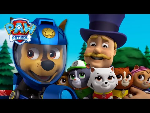 调皮的小猫！🐱 - PAW Patrol 汪汪隊立大功 - 兒童卡通