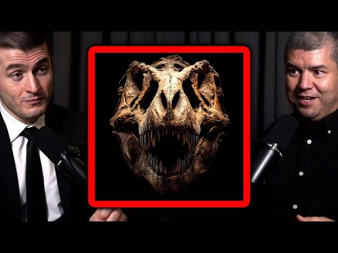 The iconic T-Rex skull explained by dinosaur expert | Dave Hone and Lex Fridman