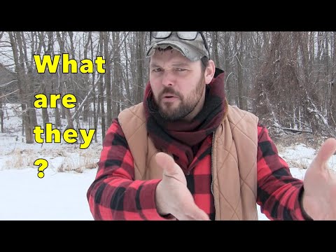 Top 20 "Radical Tips" for 2020