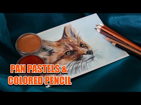Fox in PanPastel & Colored Pencil - Tutorial for Beginners