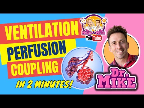 Ventilation Perfusion (VQ) Coupling explained in 2 minutes!