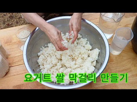 Making Yogurt Rice Makgeolli/Escape Constipation and Obesity