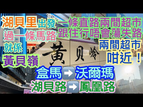 《食德走德》『深圳超市』湖貝里盒馬行去黃貝嶺沃爾瑪｜一條路直到！｜值得去嗎？睇完先出發～