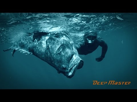 Мадагаскар. Подводная Охота. Взяли Большого Марлина.