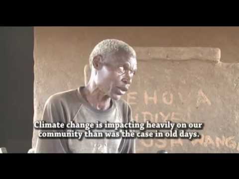 CISANET and IDS (Institute of Development Studies)