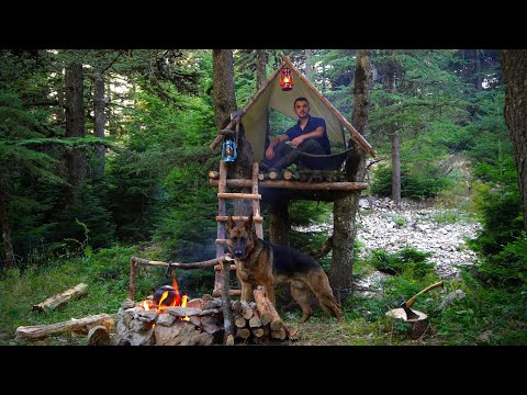Bushcraft Camping in the Wilderness with My Dog - Building a Survival Shelter