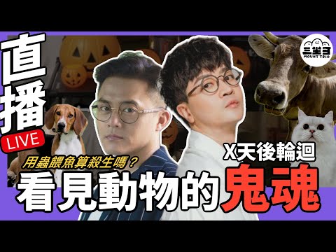 【鬼同你we won won】EP01 我能看見動物鬼魂？如何才叫殺生？（28/10/2024）｜余迪偉｜JJ詹朗林