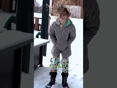 You're on thin ice, pal 🤣🥶