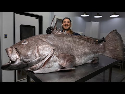 The Largest Legal Grouper