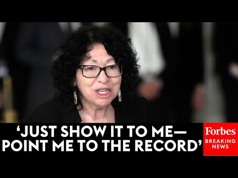'Your Own Expert Did Exactly What You Say Is Wrong!': Sonia Sotomayor Rips Lawyer To His Face
