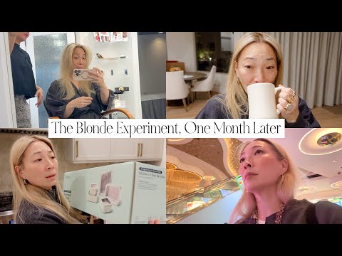 The Blonde Experiment, One Month Later 💁🏼‍♀️