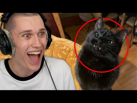 Watching More of Your FUNNIEST TikToks!!
