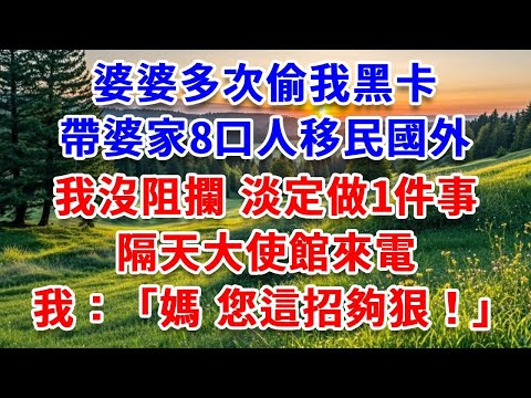 婆婆多次偷我黑卡 帶婆家8口人移民國外，我沒阻攔，淡定做1件事，隔天大使館來電，我對媽媽說：媽，您這招夠狠！#詩涵講故事#為人處世#生活經驗#情感故事#晚年哲理#說故事#完結文#原創故事