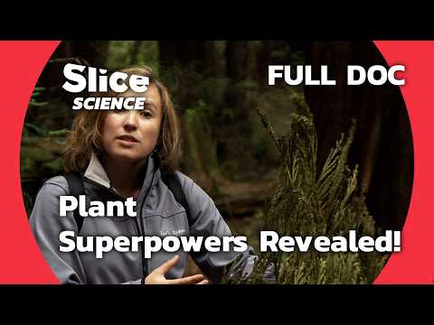 The Hidden Powers of Plants: From Immortality to Space Exploration | SLICE SCIENCE | FULL DOC