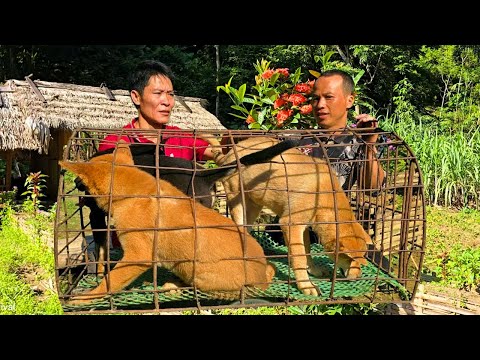 Goodbye My Dog, Selling Dogs to Local Traders & Buying Ducks for Village Life