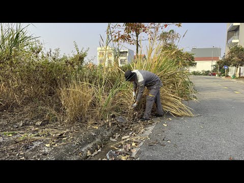 Cleaning Up This Terrible Sidewalk Made Possible by YOUR Enthusiastic Encouragement