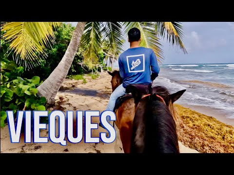 HORSEBACK RIDING ON THE  BEACH IN VIEQUES, PUERTO RICO. 10 MINUTE FLIGHT TO GET THERE!